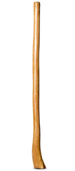 Gloss Finish Flared Didgeridoo (TW957)